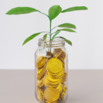 Investment Funds