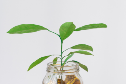 Investment Funds
